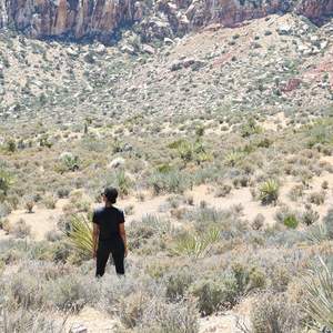 Crossing Borders 1200
