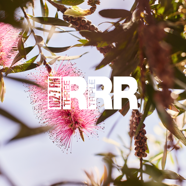 Summer Programming 2025