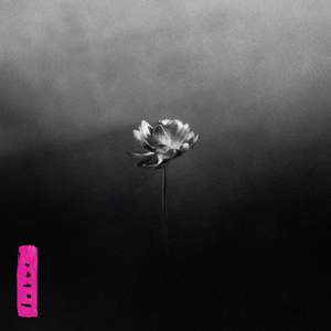 Lotus (by Little Simz)