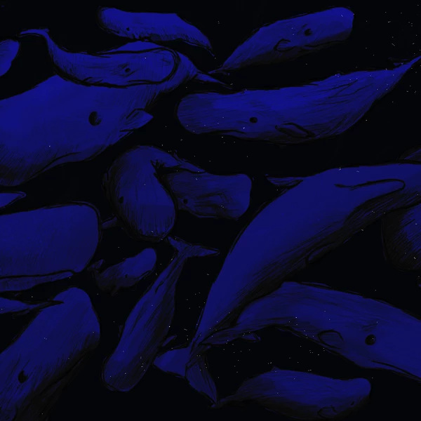 The Aquarium