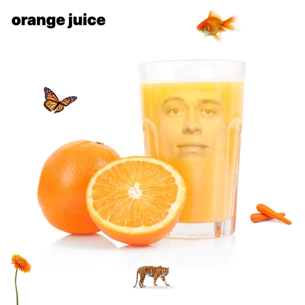 Orange Juice Program Image