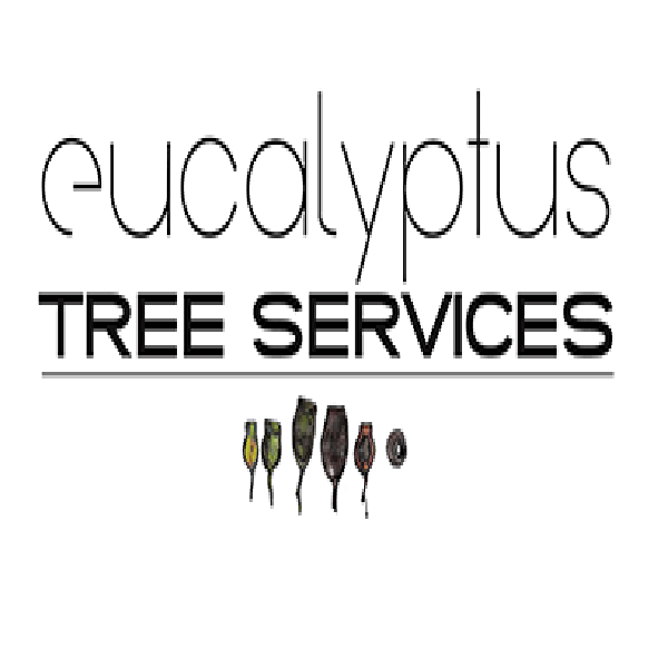Eucalyptus Tree Services Business Image