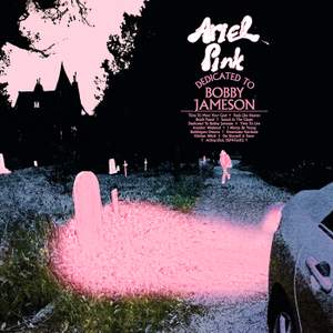 Ariel Pink - Dedicated to Bobby Jameson