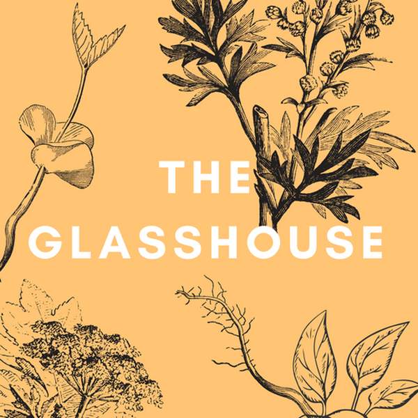 The Glasshouse