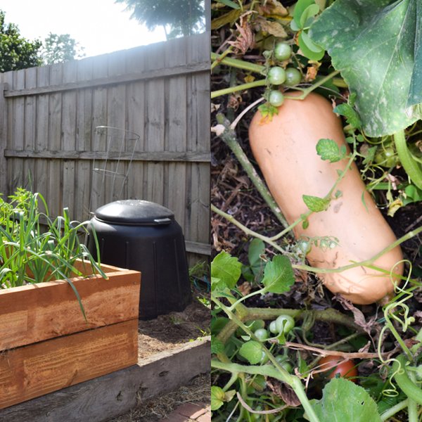 Deeper Read: A Beginner’s Guide to Gardening