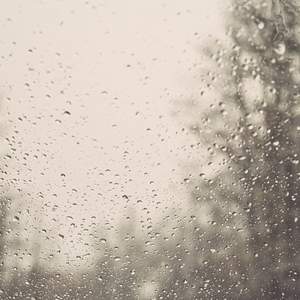 Rainy Window Stock Image 1200
