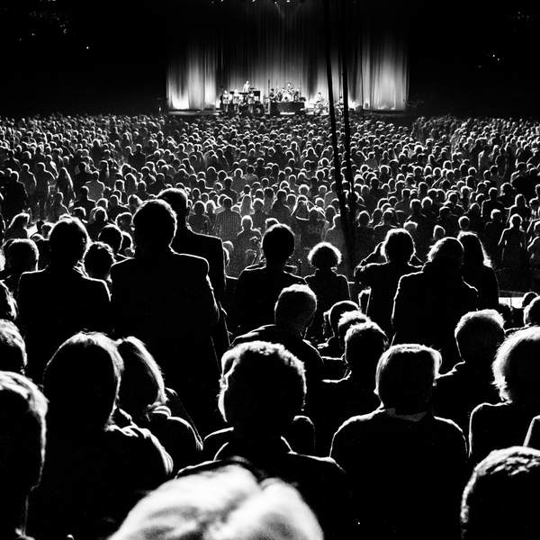Live Music Audience
