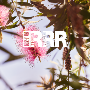 Summer Programming 2025