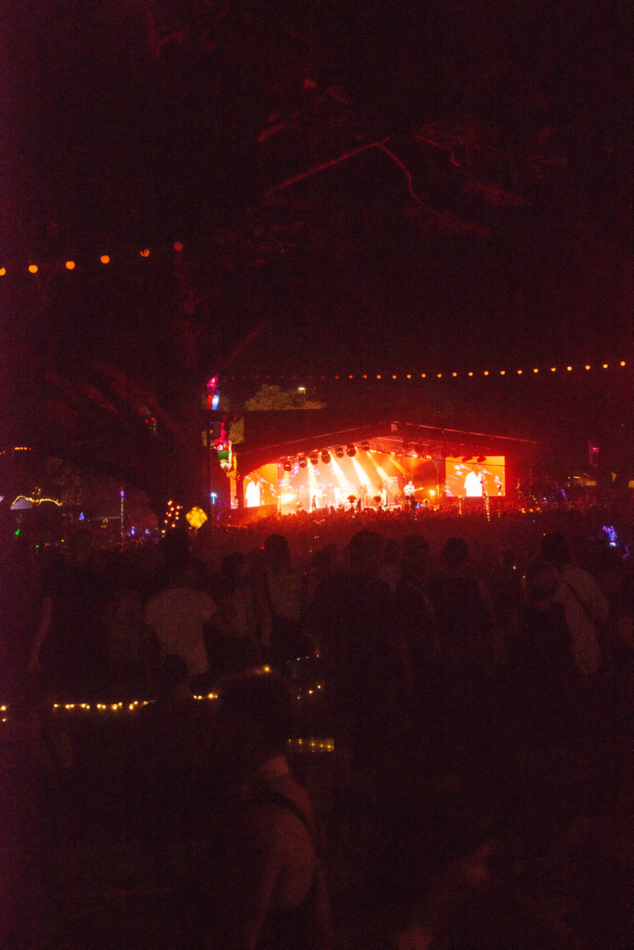 Golden Plains 2024 19