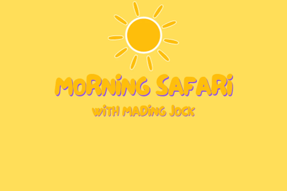 Morning Safari