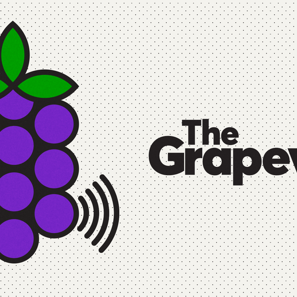The Grapevine feature image
