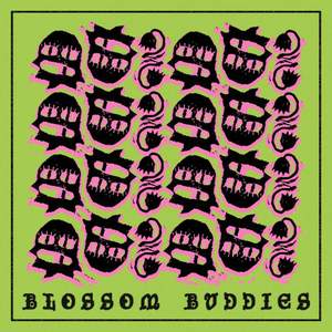 Various Artists - Blossom Buddies