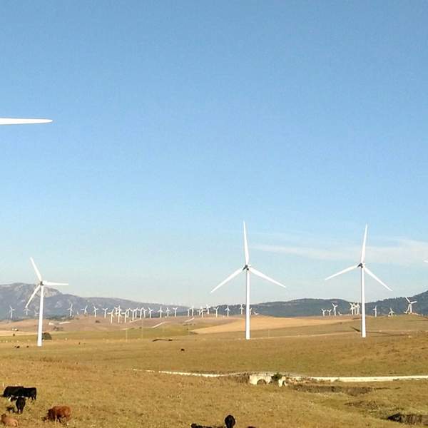 Wind Farms