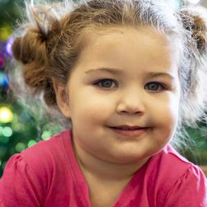 VACCA Christmas Appeal 2020 Image 1200px