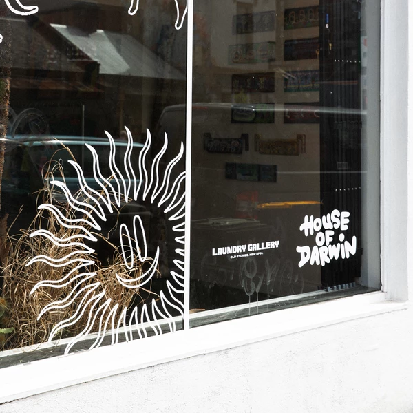 House of Darwin x Laundry Gallery