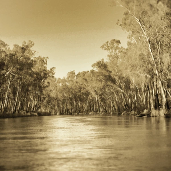 The Mission Program Image