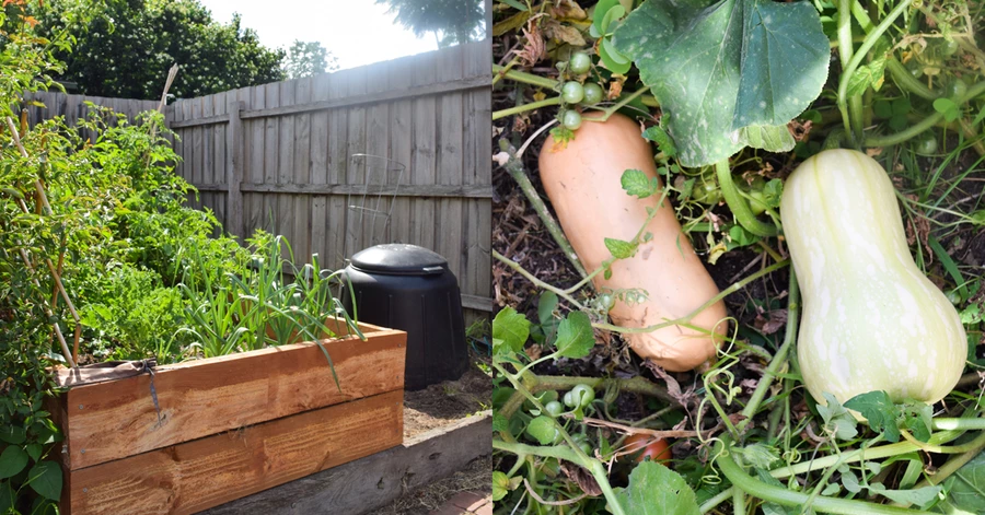 Gardening Story Main