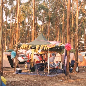 Golden Plains 2019 Gallery Main