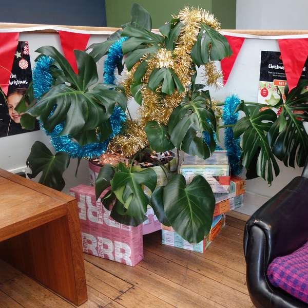 VACCA Christmas Tree