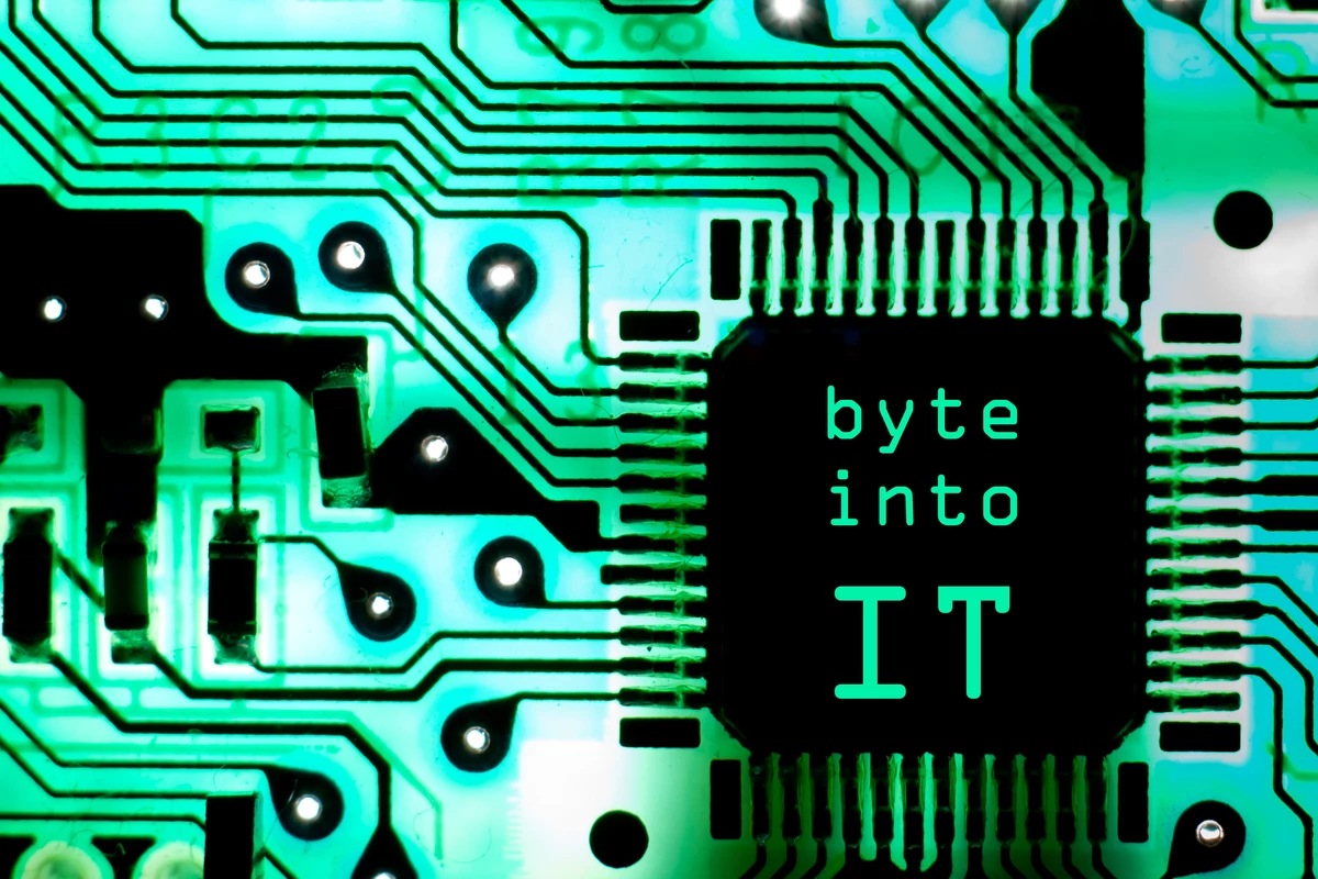 Byte Into It