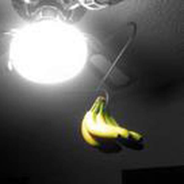 Banana Lounge Broadcasting