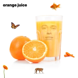 Orange Juice Program Image