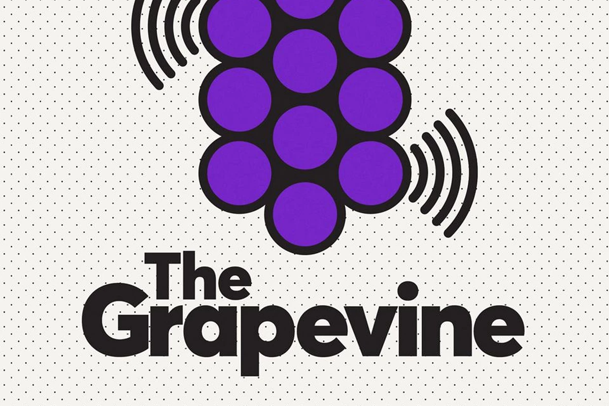 Grapevine feature image updated
