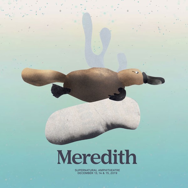 Meredith Music Festival