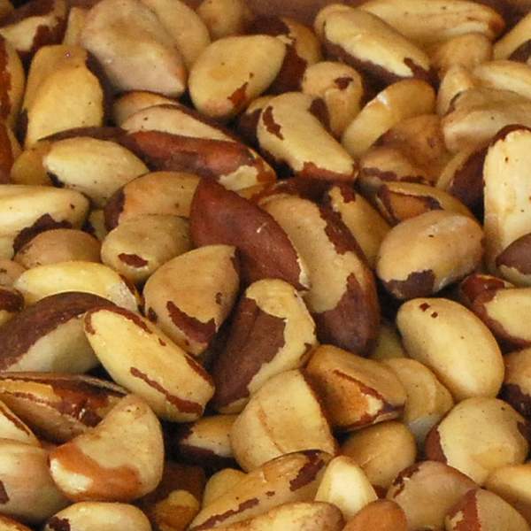 Brazil Nuts