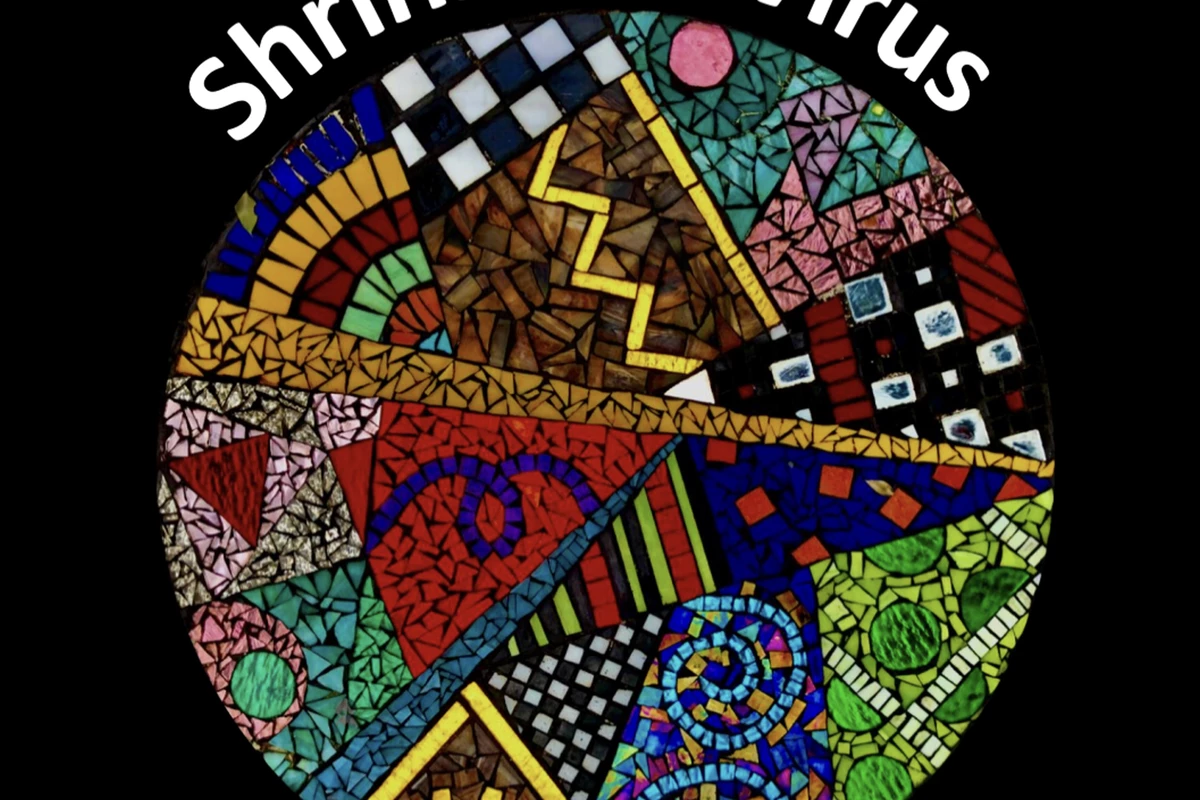 Shrink The Virus Program Image