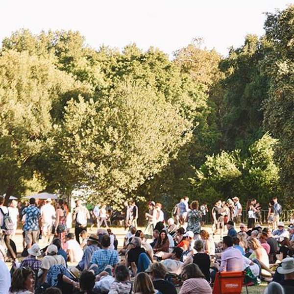 Womad Trees