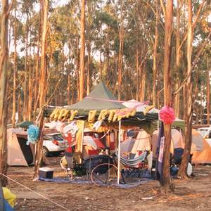 Golden Plains 2019 Gallery Main