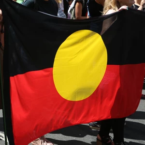 Indigenous Flag
