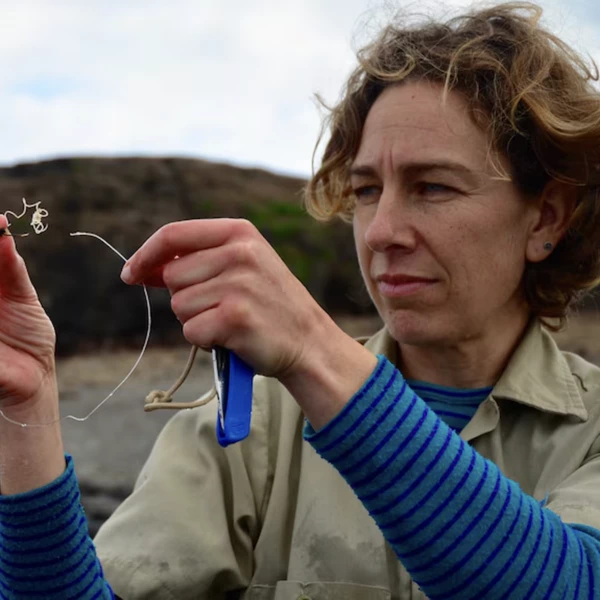 Breakfasters: Dr. Rebecca McIntosh On The SealSpotter Project