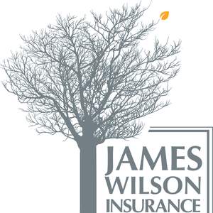 James Wilson Insurance Solutions Business Subscription image