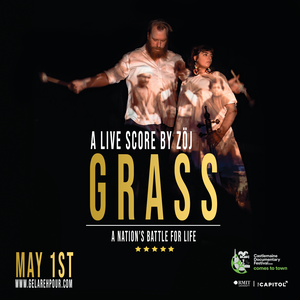 Grass Live Score