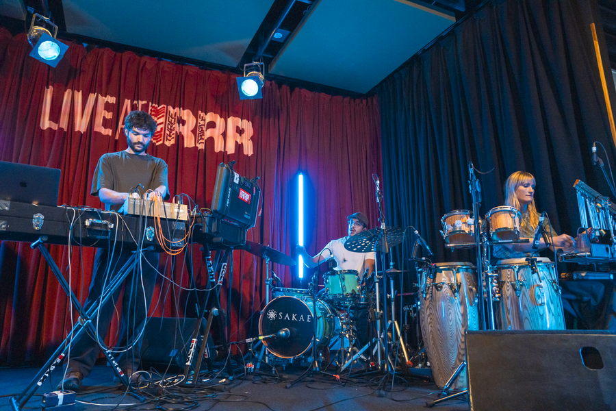 Birdsnake Live at RRR 2