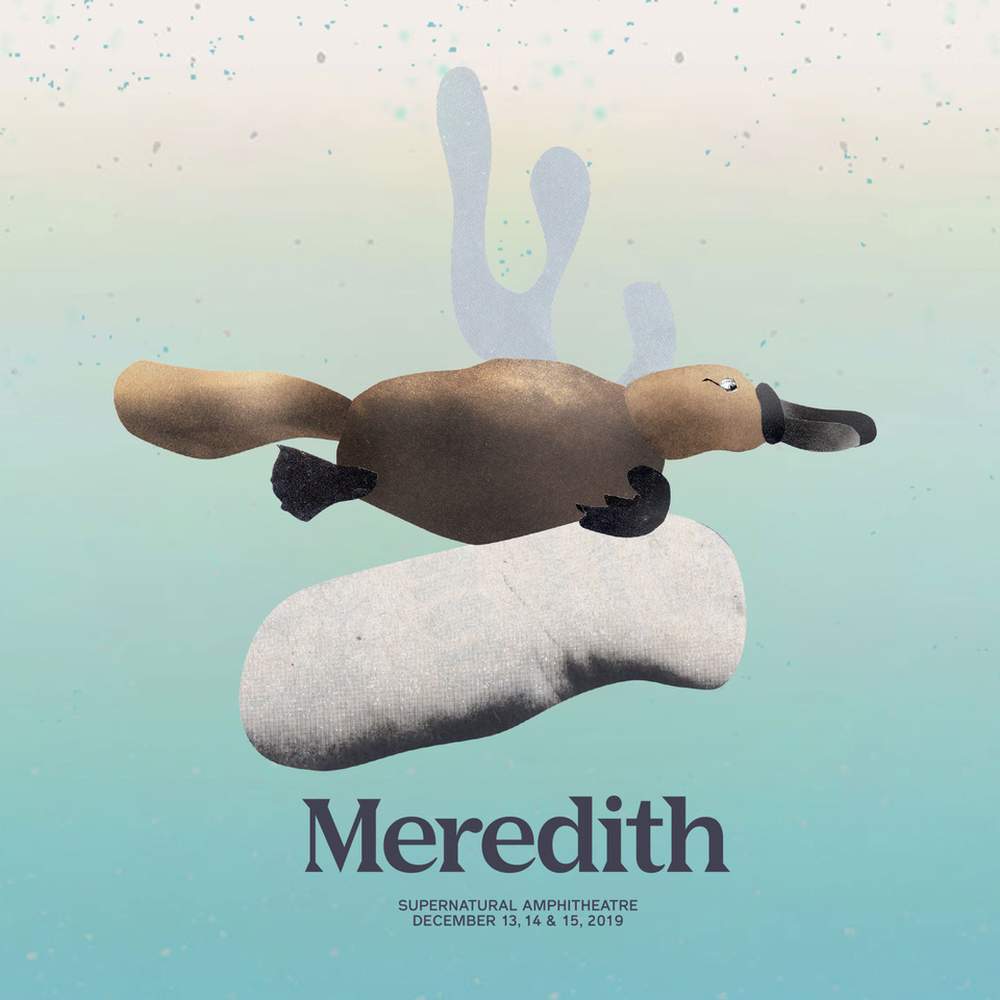 Meredith Music Festival