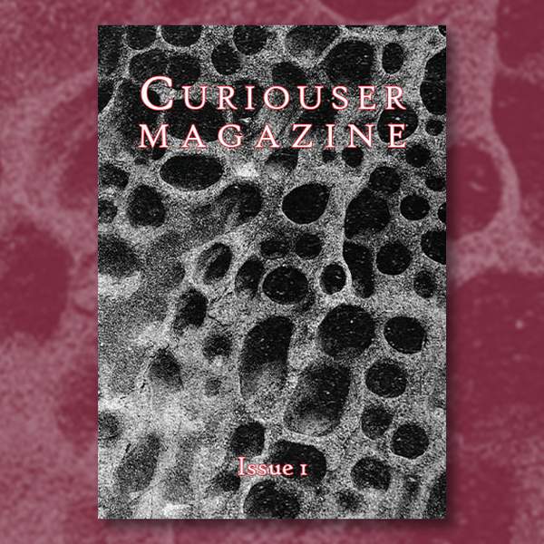 Curiouser Magazine