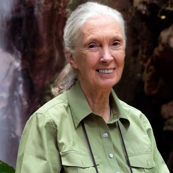 Jane Goodall