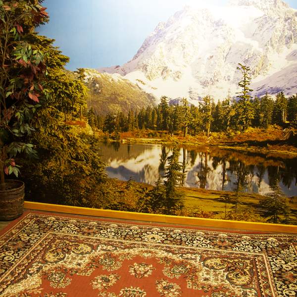 Room With A View Feature Image