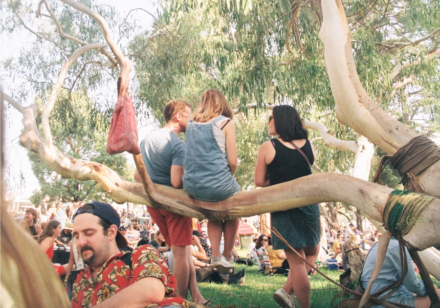Golden Plains 2019 Gallery 08
