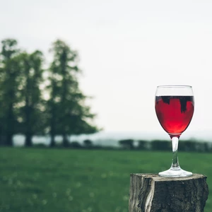 Lonely Wine Glass Stock Photo