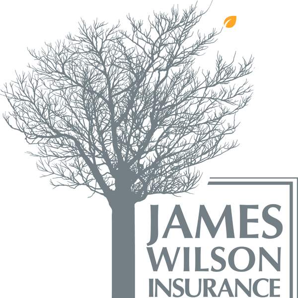 James Wilson Insurance Solutions Business Subscription image