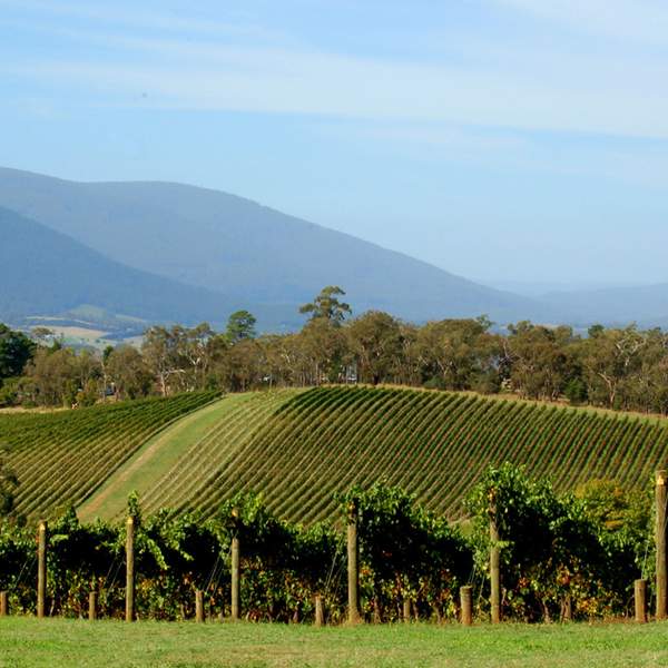 Yarra Valley