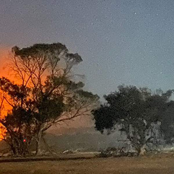 Kangaroo Island Jan 2020