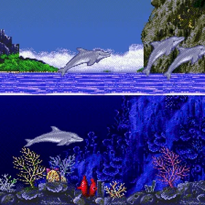 High Tide