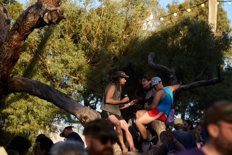 Golden Plains Seventeen 8