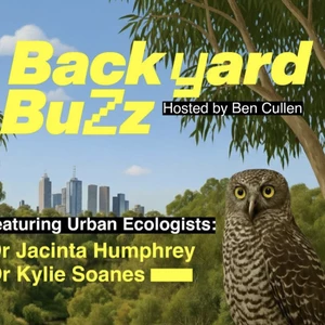 Backyard Buzz