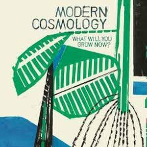 modern cosmology